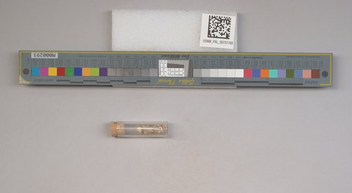 NSF ADBC EPICC TCN
