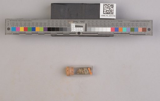 NSF ADBC EPICC TCN