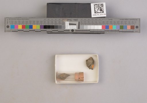 NSF ADBC EPICC TCN