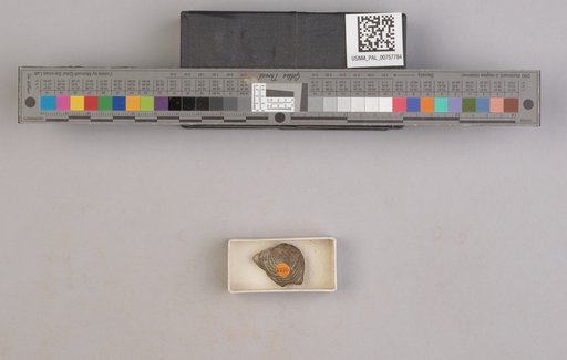 NSF ADBC EPICC TCN