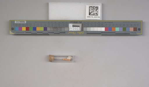 NSF ADBC EPICC TCN