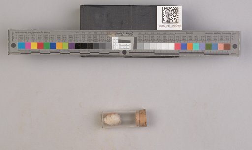 NSF ADBC EPICC TCN