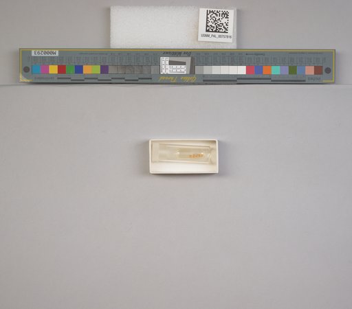 NSF ADBC EPICC TCN
