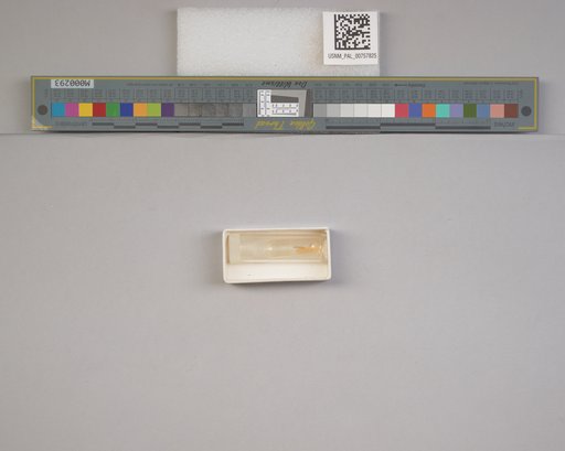 NSF ADBC EPICC TCN