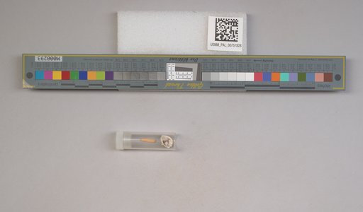 NSF ADBC EPICC TCN