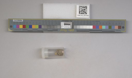 NSF ADBC EPICC TCN