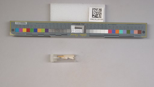 NSF ADBC EPICC TCN