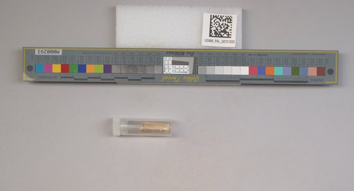 NSF ADBC EPICC TCN