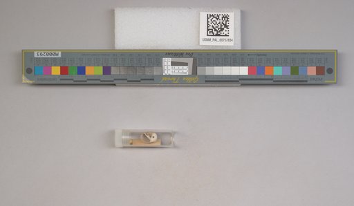 NSF ADBC EPICC TCN