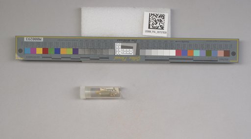 NSF ADBC EPICC TCN