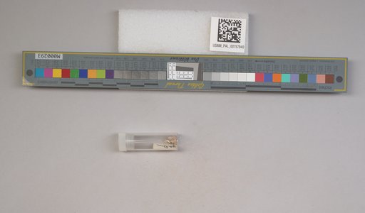 NSF ADBC EPICC TCN