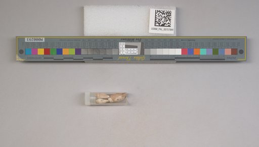 NSF ADBC EPICC TCN