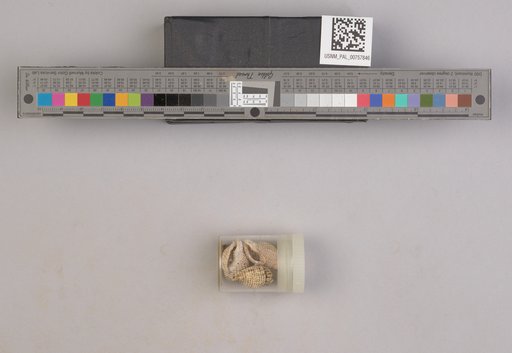 NSF ADBC EPICC TCN