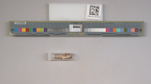 NSF ADBC EPICC TCN