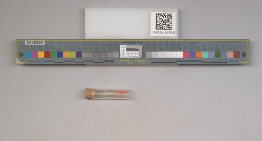 NSF ADBC EPICC TCN