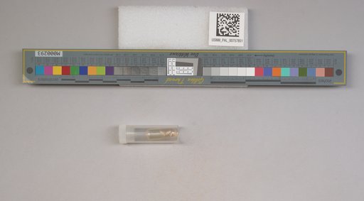 NSF ADBC EPICC TCN