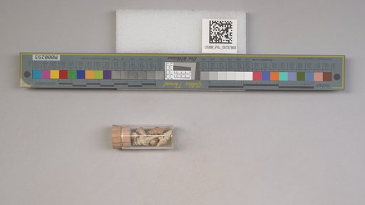 NSF ADBC EPICC TCN