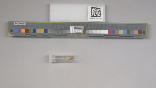NSF ADBC EPICC TCN