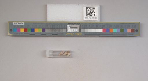 NSF ADBC EPICC TCN