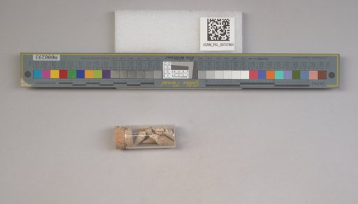 NSF ADBC EPICC TCN