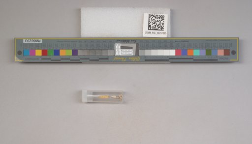 NSF ADBC EPICC TCN