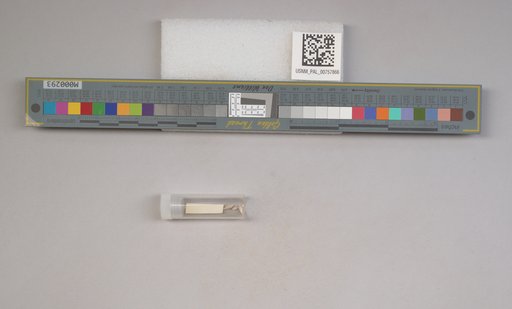NSF ADBC EPICC TCN