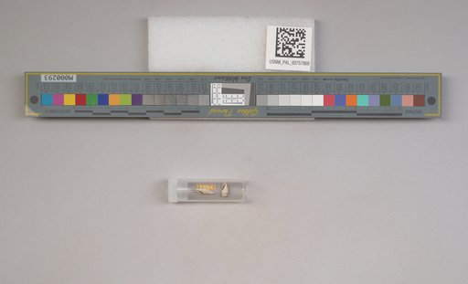 NSF ADBC EPICC TCN