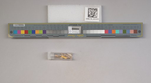NSF ADBC EPICC TCN
