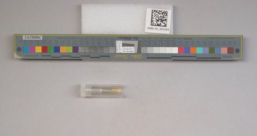 NSF ADBC EPICC TCN