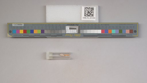 NSF ADBC EPICC TCN