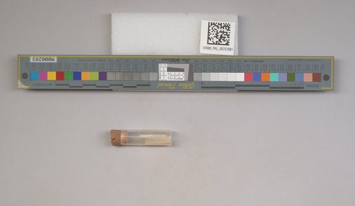 NSF ADBC EPICC TCN