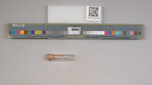NSF ADBC EPICC TCN