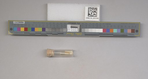 NSF ADBC EPICC TCN