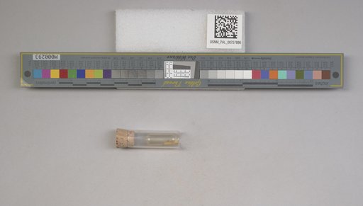 NSF ADBC EPICC TCN