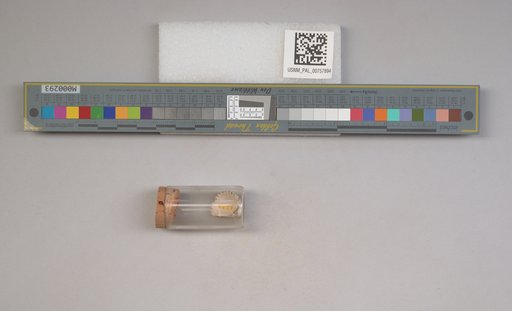 NSF ADBC EPICC TCN