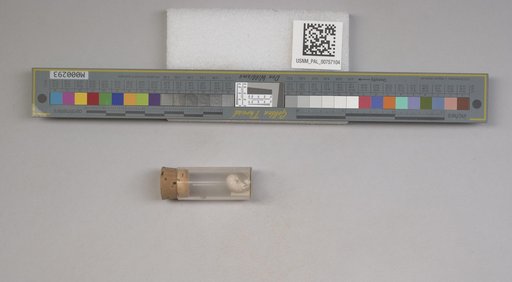 NSF ADBC EPICC TCN