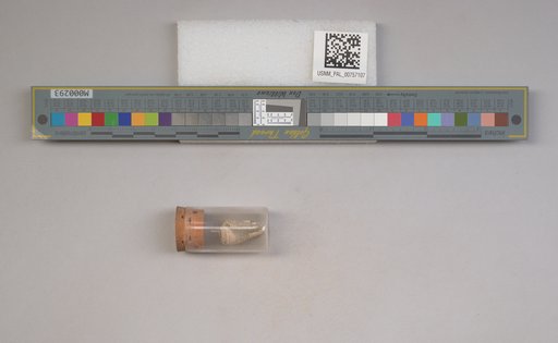 NSF ADBC EPICC TCN