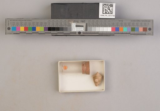 NSF ADBC EPICC TCN