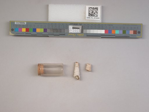 NSF ADBC EPICC TCN