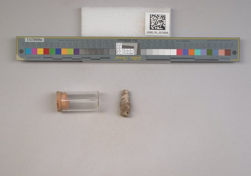 NSF ADBC EPICC TCN