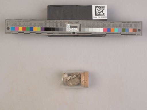 NSF ADBC EPICC TCN