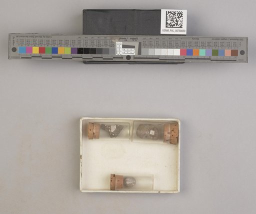 NSF ADBC EPICC TCN