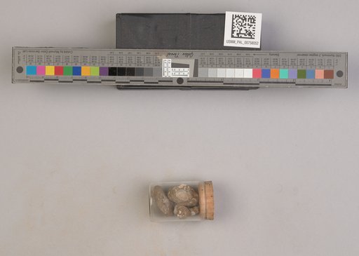 NSF ADBC EPICC TCN