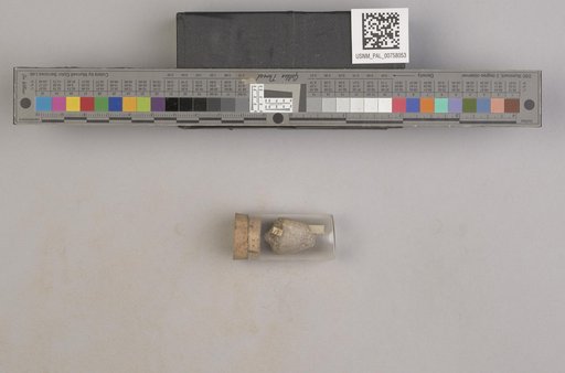 NSF ADBC EPICC TCN