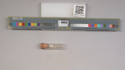 NSF ADBC EPICC TCN