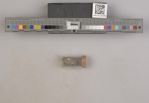 NSF ADBC EPICC TCN