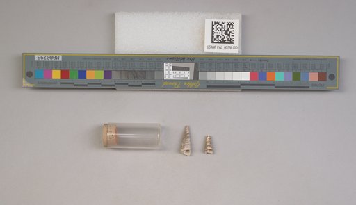 NSF ADBC EPICC TCN