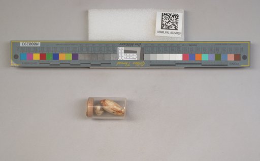 NSF ADBC EPICC TCN