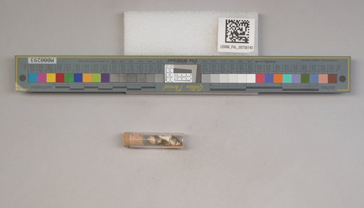 NSF ADBC EPICC TCN