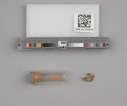 NSF ADBC EPICC TCN